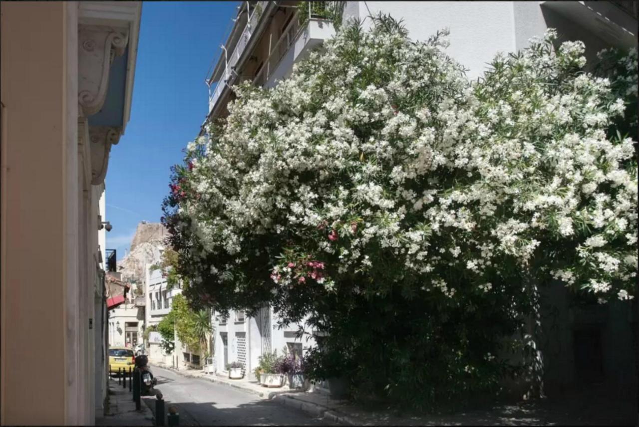 Back To Tradition, By The Acropolis! Athens Exterior photo